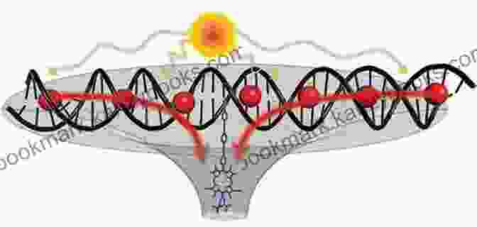 DNA As An Energy Antenna The DNA Field And The Law Of Resonance: Creating Reality Through Conscious Thought