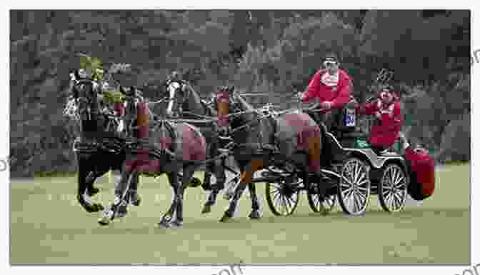 Horse Drawn Carriage: A Team Of Horses Pulling A Carriage, Showcasing The Strength And Coordination Of Driving Horses. The Horse Lover S Encyclopedia 2nd Edition: A Z Guide To All Things Equine: Barrel Racing Breeds Cinch Cowboy Curtain Dressage Driving Foaling Riding English Western And So Much More