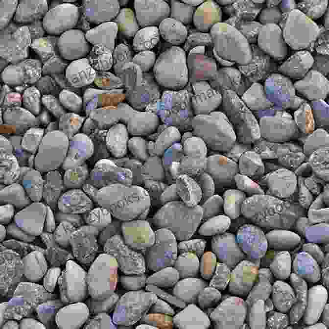 Photograph Showcasing The Diverse Colors, Textures, And Shapes Of Pebbles Why Are Pebbles So Smooth?: A Gift For Children With Chronic Fatigue