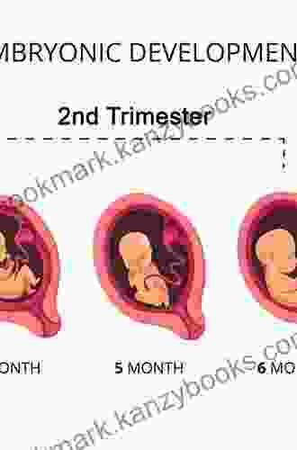 Management And Therapy Of Early Pregnancy Complications: First And Second Trimesters