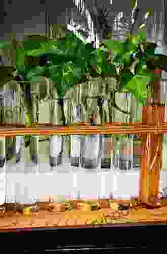 Plants From Test Tubes: An Introduction To Micropropogation