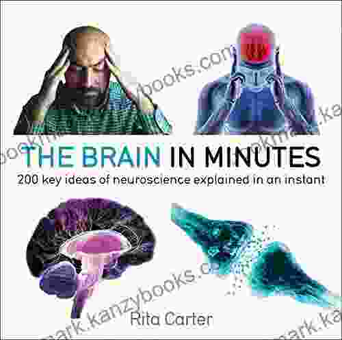 The Brain In Minutes Rory Chan