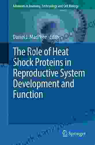 The Role Of Heat Shock Proteins In Reproductive System Development And Function (Advances In Anatomy Embryology And Cell Biology 222)