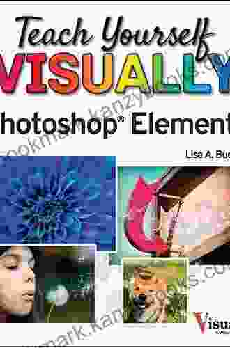 Teach Yourself VISUALLY Photoshop Elements 11 (Teach Yourself VISUALLY (Tech) 119)