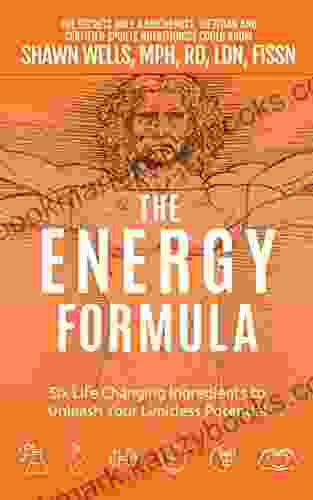 The ENERGY Formula: Six Life Changing Ingredients To Unleash Your Limitless Potential